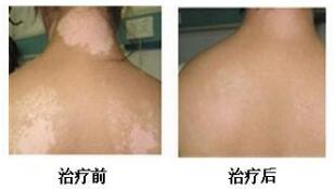 Ƹ԰绷Ƿ